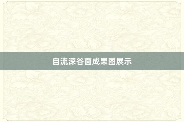 自流深谷面成果图展示