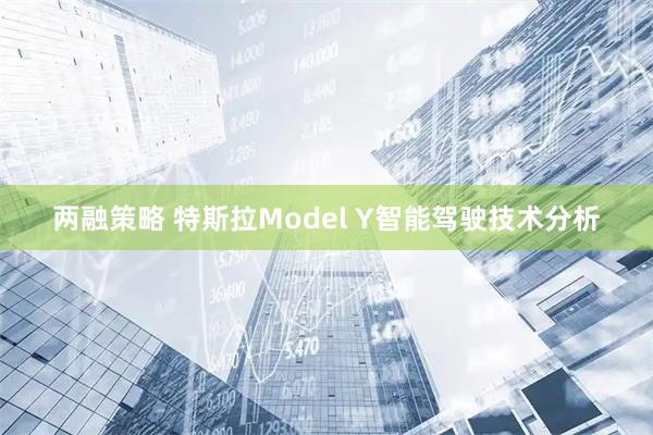 两融策略 特斯拉Model Y智能驾驶技术分析