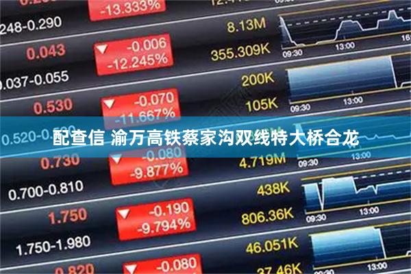 配查信 渝万高铁蔡家沟双线特大桥合龙